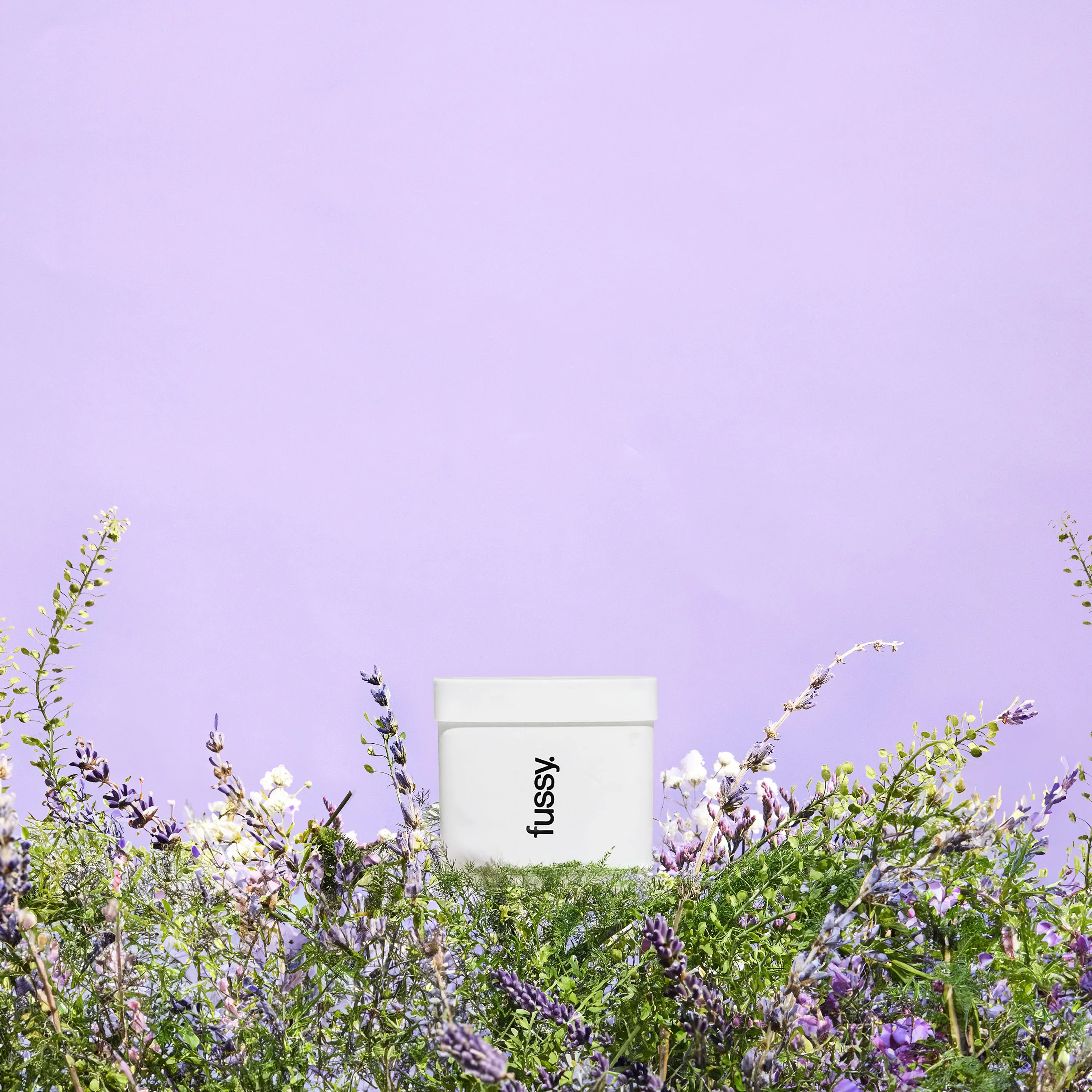 Refills - Image 7